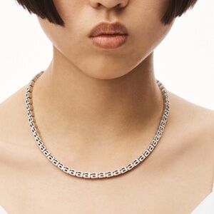 Alexander Wang necklace